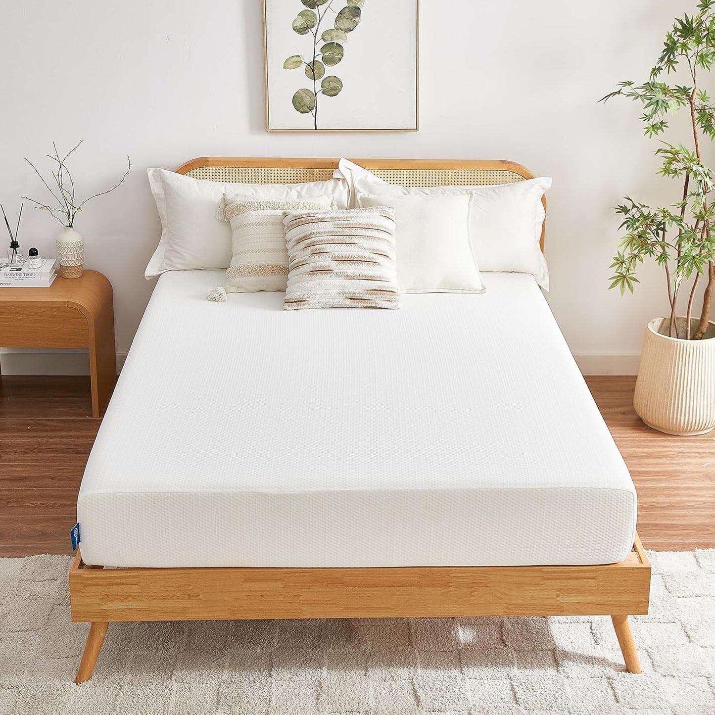 Full Mattress, 6 Inch Gel Memory Foam Mattress in a Box, Fiberglass Free Full Size Mattresses for Pressure & Pain Relief, Soft and Comfortable